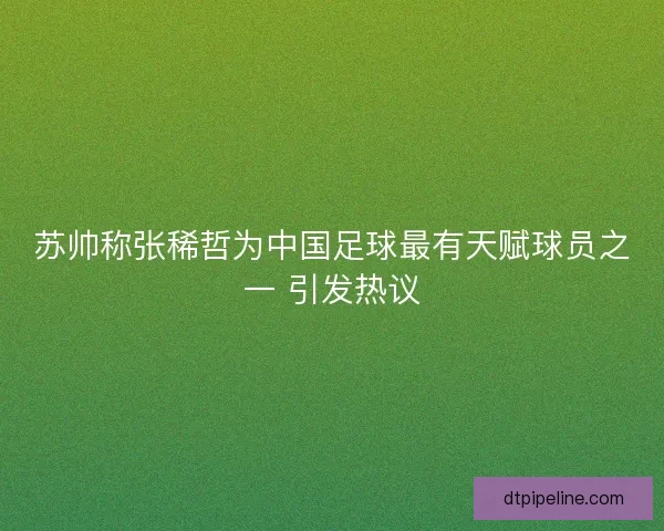 苏帅称张稀哲为中国足球最有天赋球员之一 引发热议