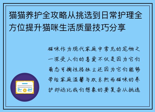 猫猫养护全攻略从挑选到日常护理全方位提升猫咪生活质量技巧分享